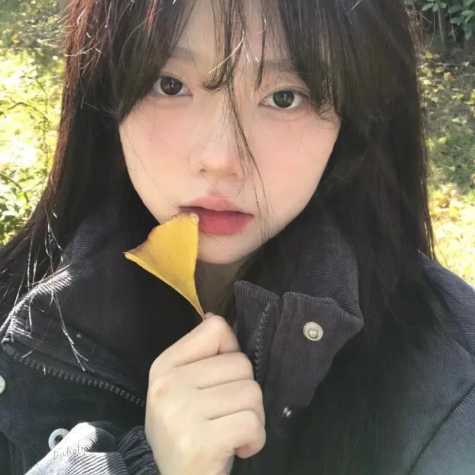 想爱就爱2
