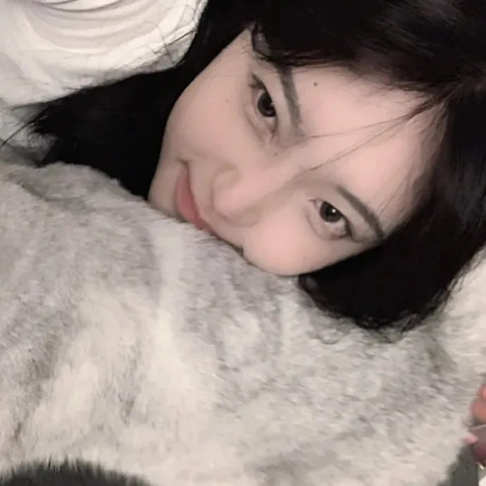 艺盗低飞